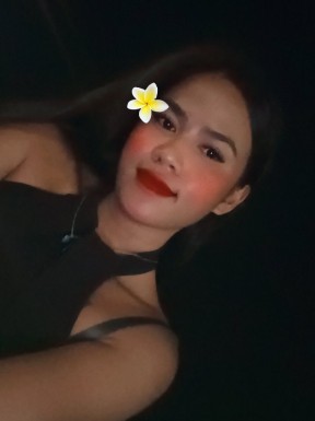 Thai ladyboys for dating / Ladyboys from Philippines for dating