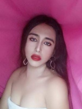 Thai ladyboys for dating / Ladyboys from Philippines for dating