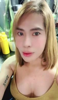 Thai ladyboys for dating / Ladyboys from Philippines for dating