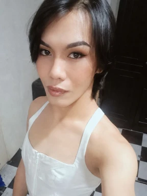 Thai ladyboys for dating / Ladyboys from Philippines for dating