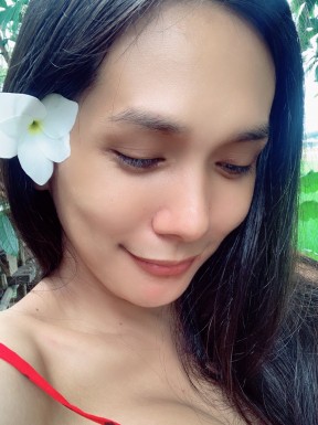 Thai ladyboys for dating / Ladyboys from Philippines for dating